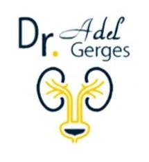 Dr. Adel Gerges